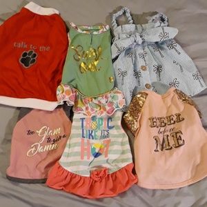 Bundle of dog clothes